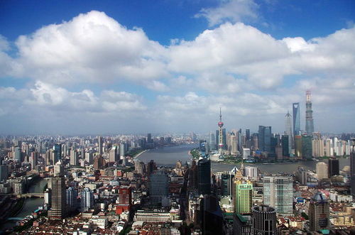 上?！毒W絡文化經營許可證》辦理全流程指南